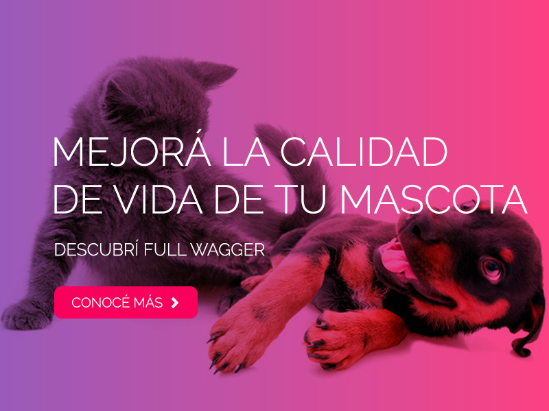 Slides-Full-Wagger-mobile